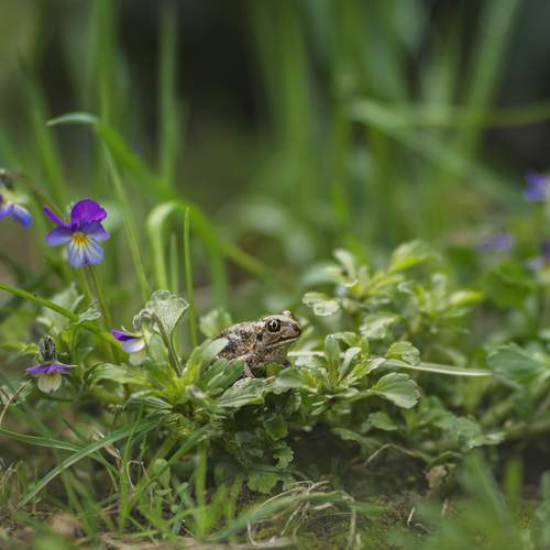 Photo #13596184