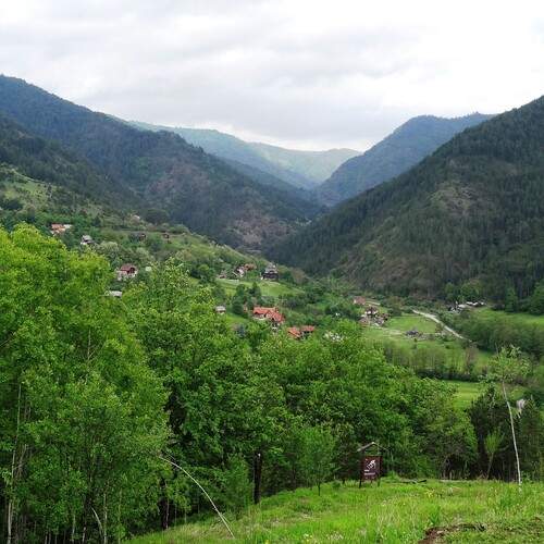 Photo #13596188