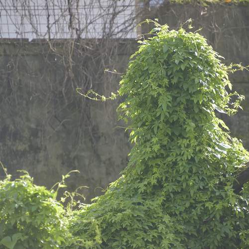 Photo #13596205