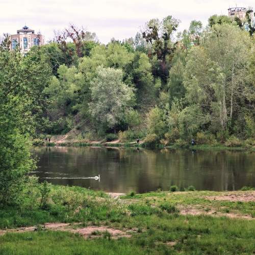 Photo #13596294
