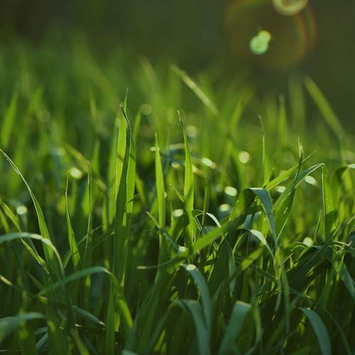 Photo #13596308