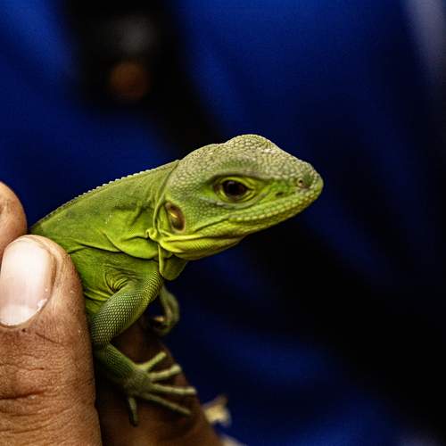 Photo #13596322