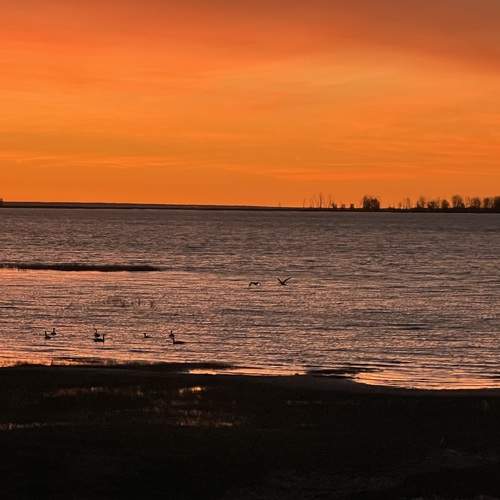 Photo #13596387