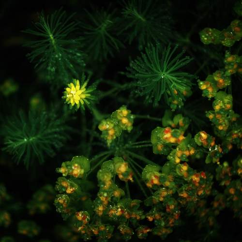 Photo #13596528