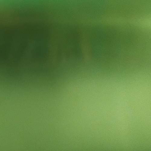 Photo #13596535