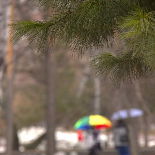 Photo #13596586