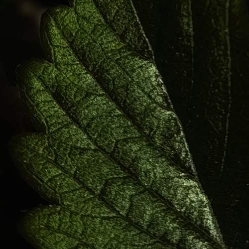 Photo #13596606