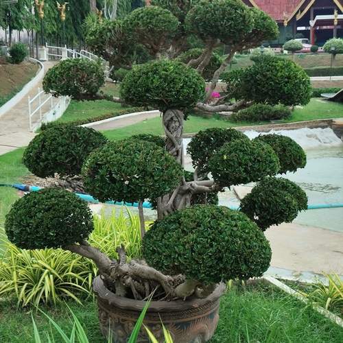Photo #13596609