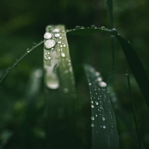 Photo #13596640