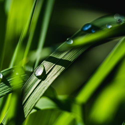 Photo #13596641