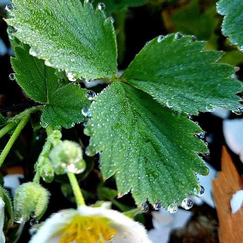 Photo #13596717