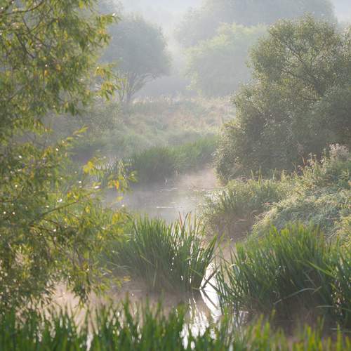 Photo #13596752