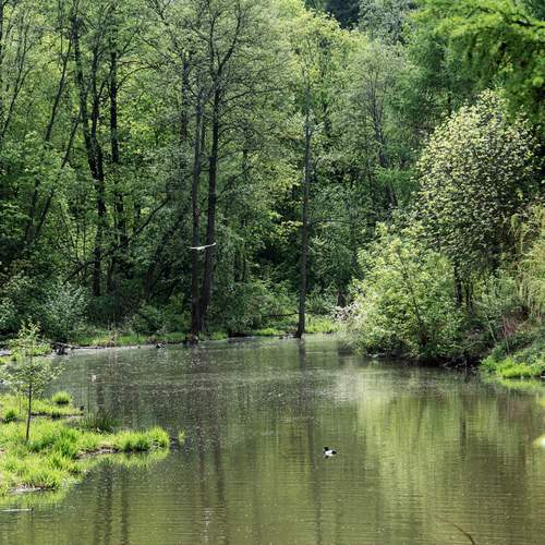 Photo #13596753