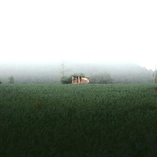 Photo #13596785