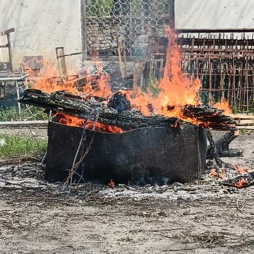 Photo #13596789