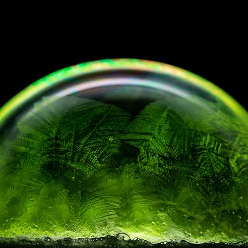 Photo #13596825