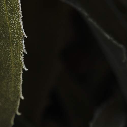 Photo #13596925