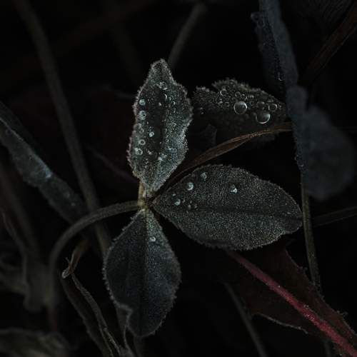 Photo #13596928