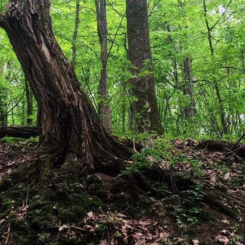 Photo #13596931