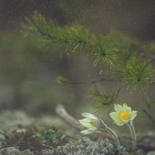 Photo #13596996