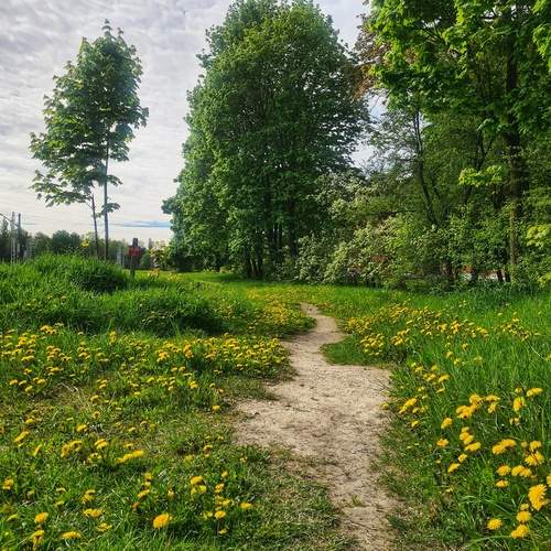 Photo #13597065