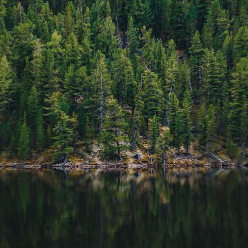 Photo #13597089