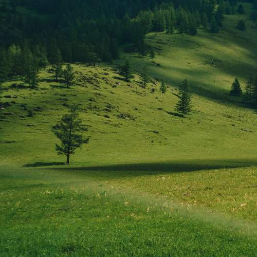 Photo #13597090