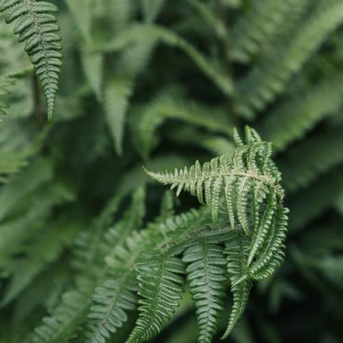 Photo #13597136