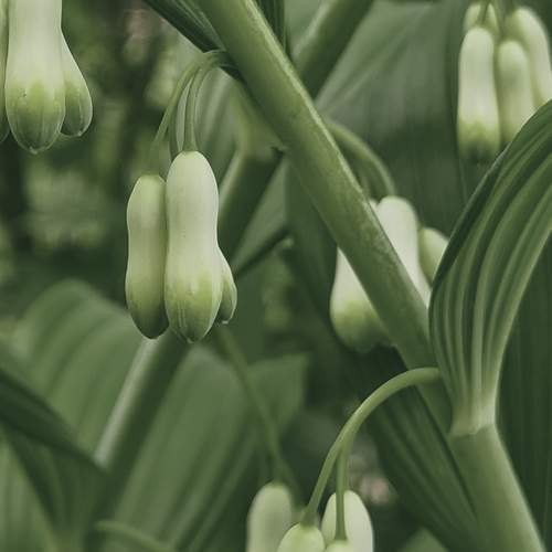 Photo #13597144