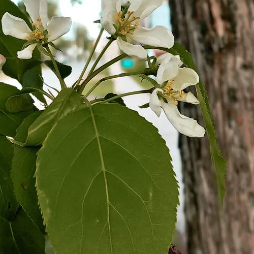 Photo #13597177