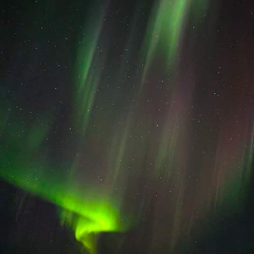 Photo #13597193