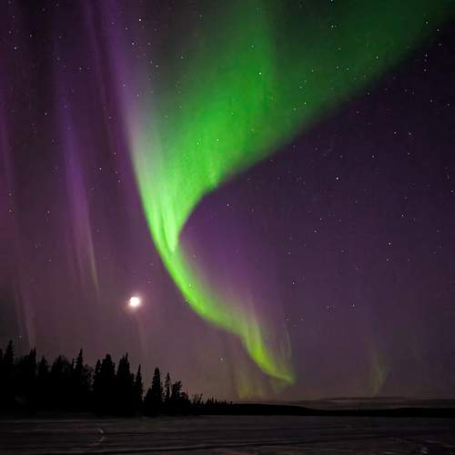 Photo #13597194