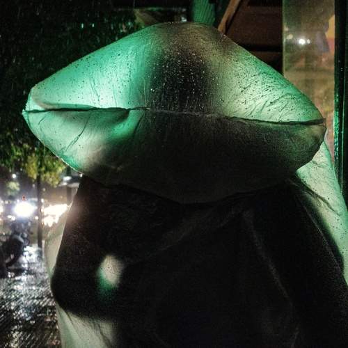 Photo #13597253