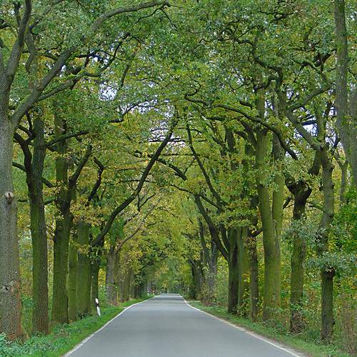 Photo #13597349