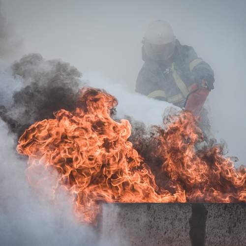 Photo #13597361