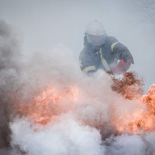 Photo #13597362