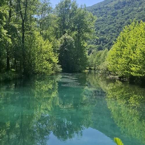 Photo #13597400