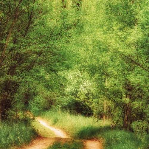 Photo #13597475