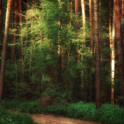 Photo #13597476
