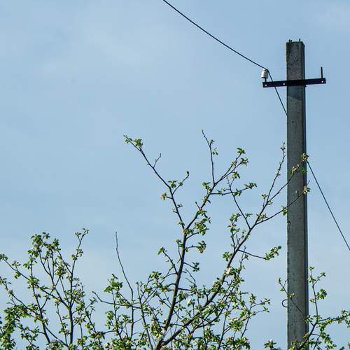 Photo #13597593