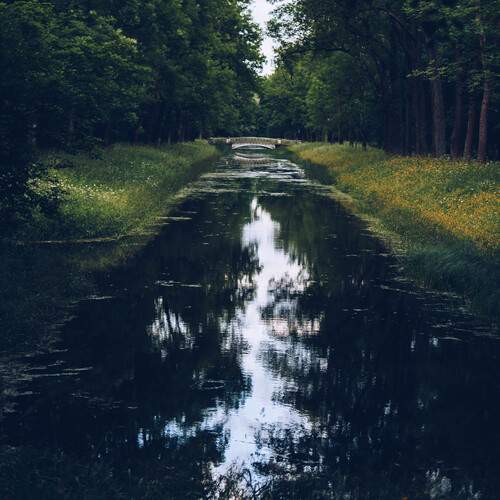 Photo #13597665