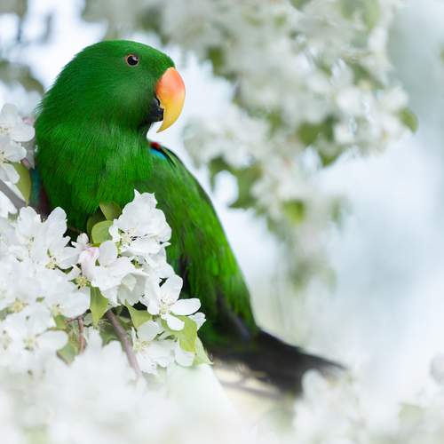 Photo #13597765