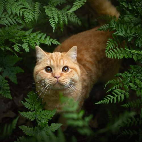 Looking for me?