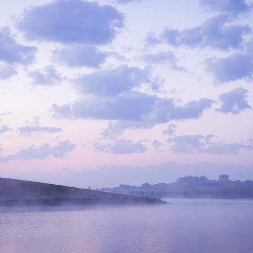 Photo #13597807
