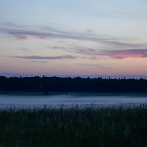 Photo #13597821
