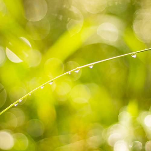 Photo #13597837