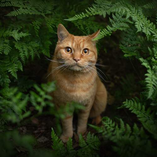 Photo #13597842