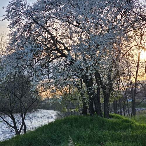 Photo #13597867