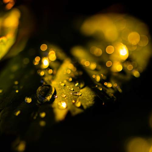 Photo #13597885