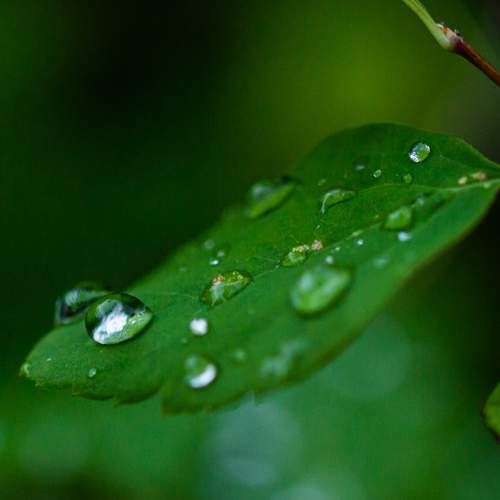 Photo #13597890